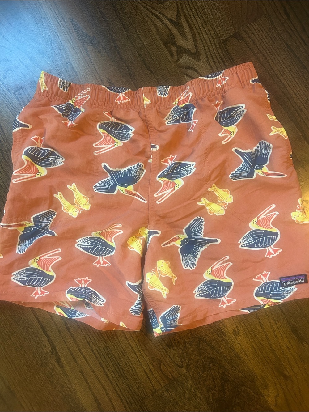 Patagonia Boy’s Rust Orange Baggie Pelican Print Shorts with mesh liner.